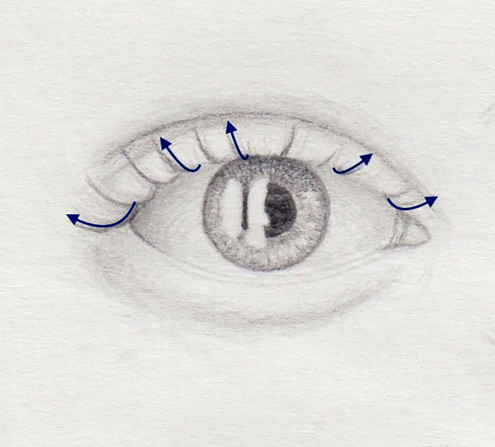 Drawing Curved Eyelashes