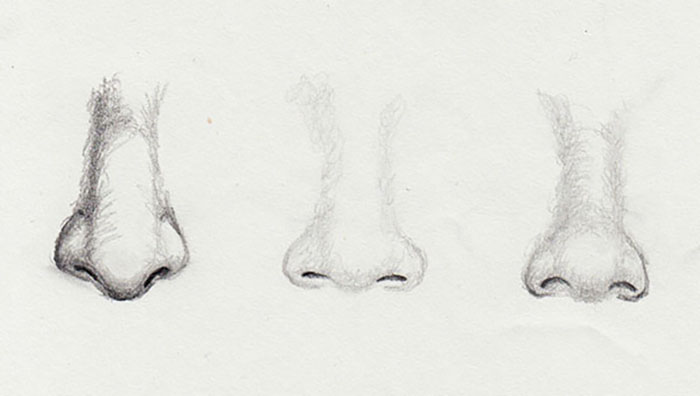 Drawing the Shadows of the Nose