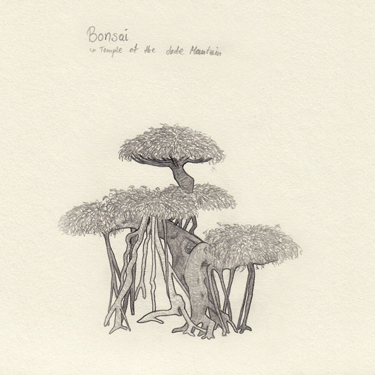 Skizze Bonsai in Hanoi