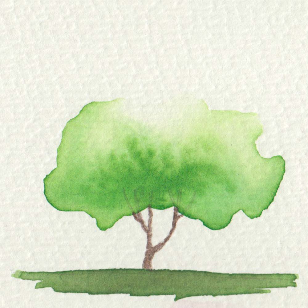 Beginner Easy Watercolor Painting Tree