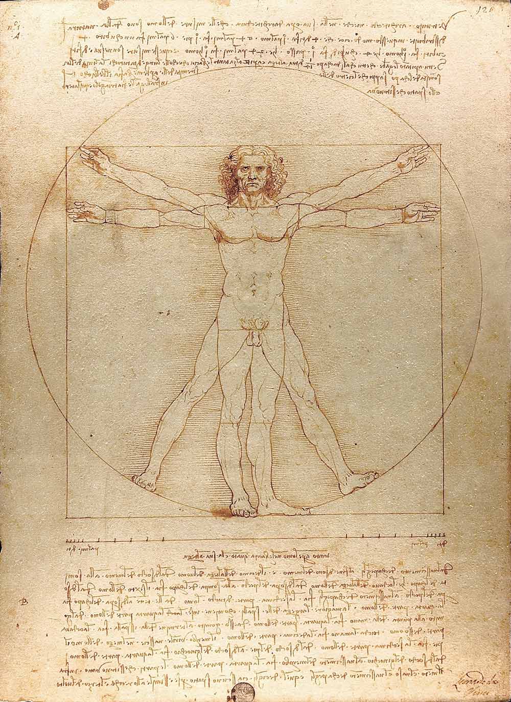 Leonardo da Vinco Proportionszeichnung Körper