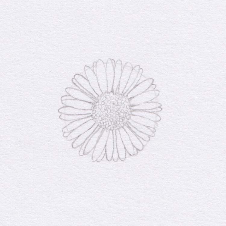 Набросок: рисование цветка
