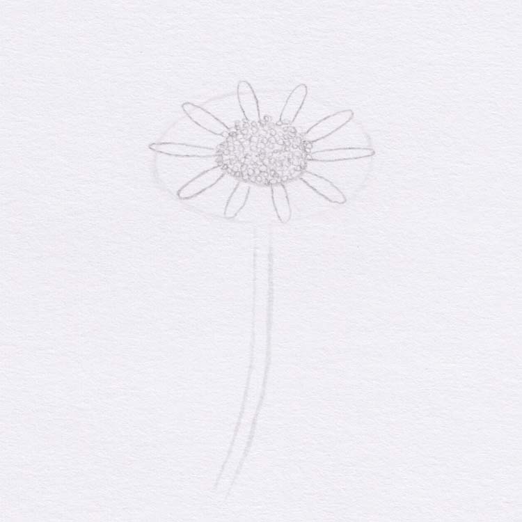 Рисование цветка