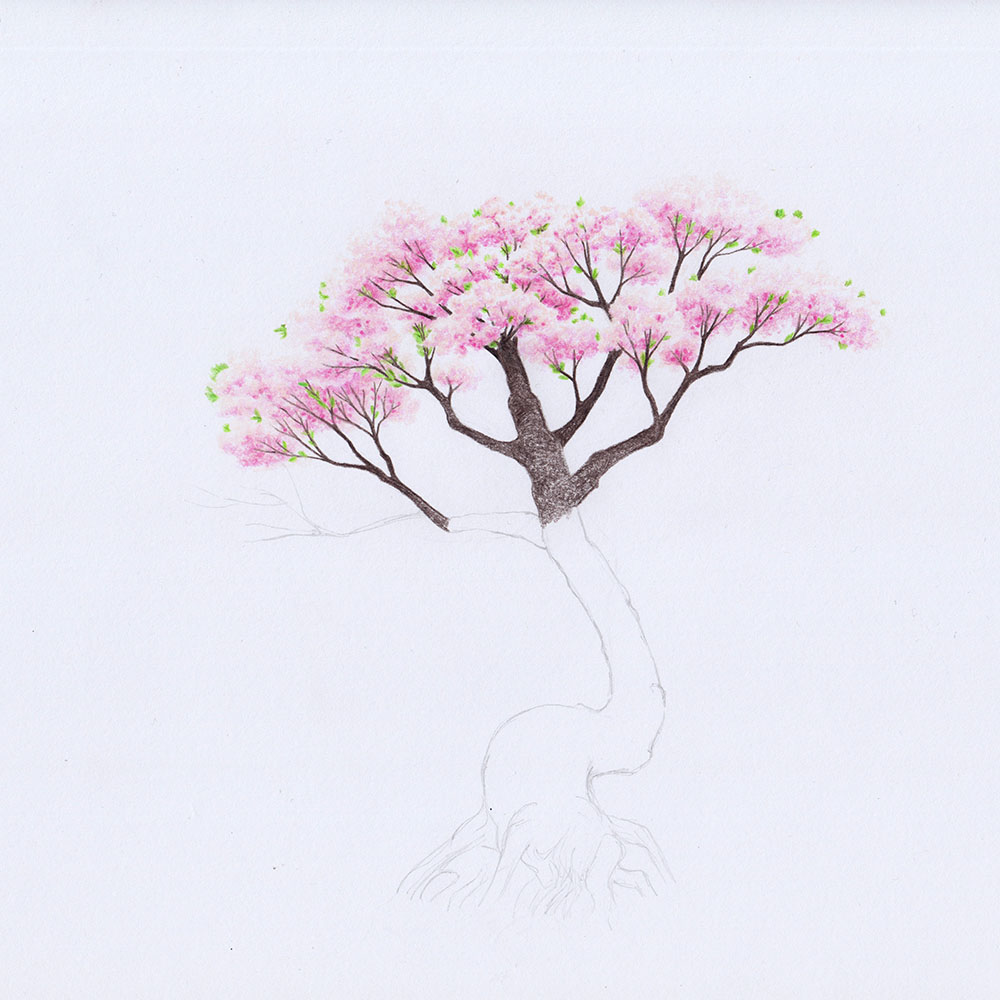 Äste und Stamm von einem Kirschblütenbaum zeichnen