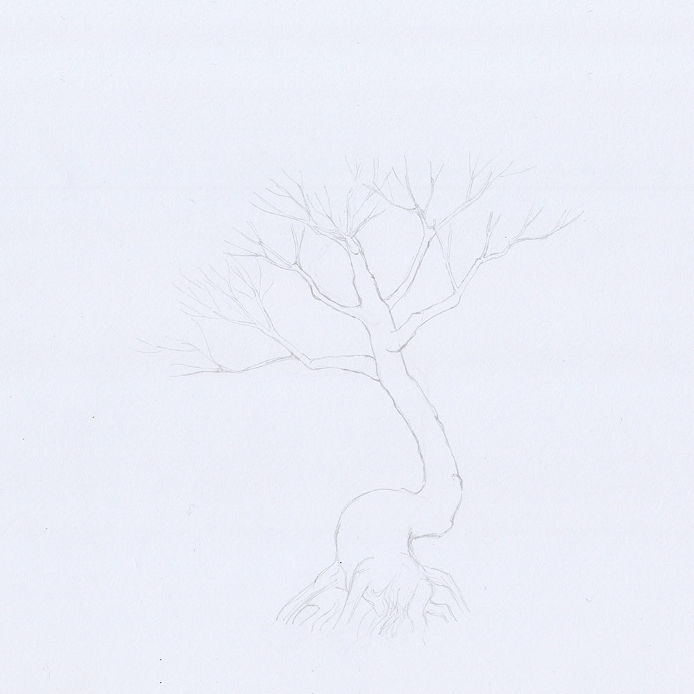 Kirschblütenbaum Skizze mit Bleistift