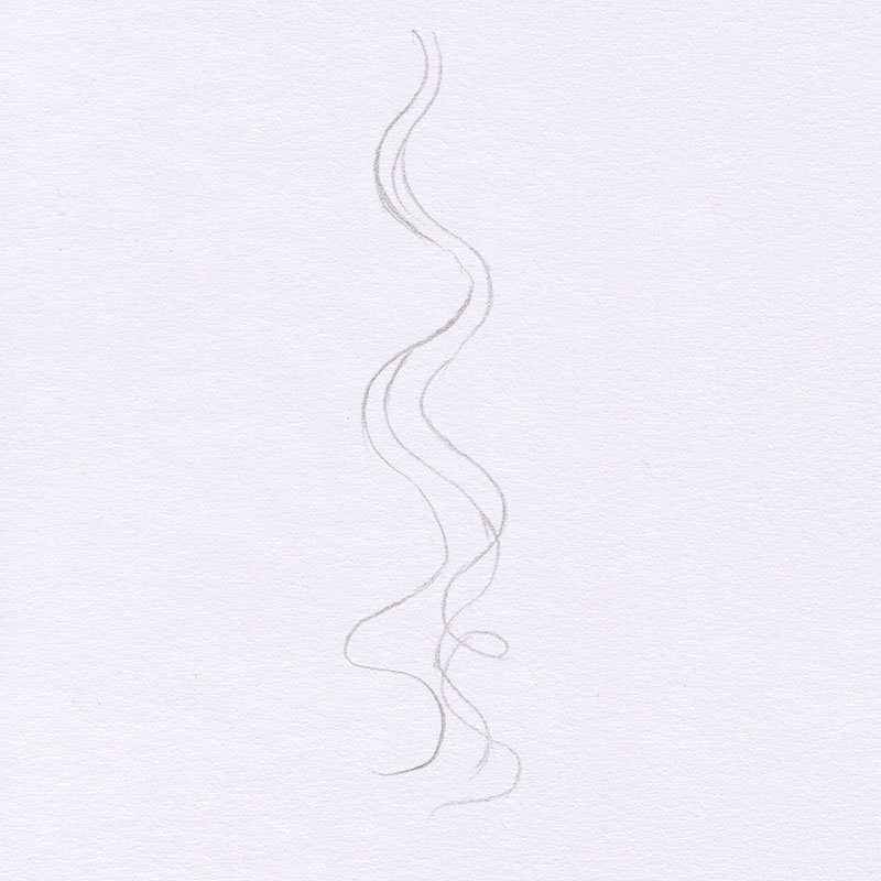 Drawing Curly Hair: Basic Structure