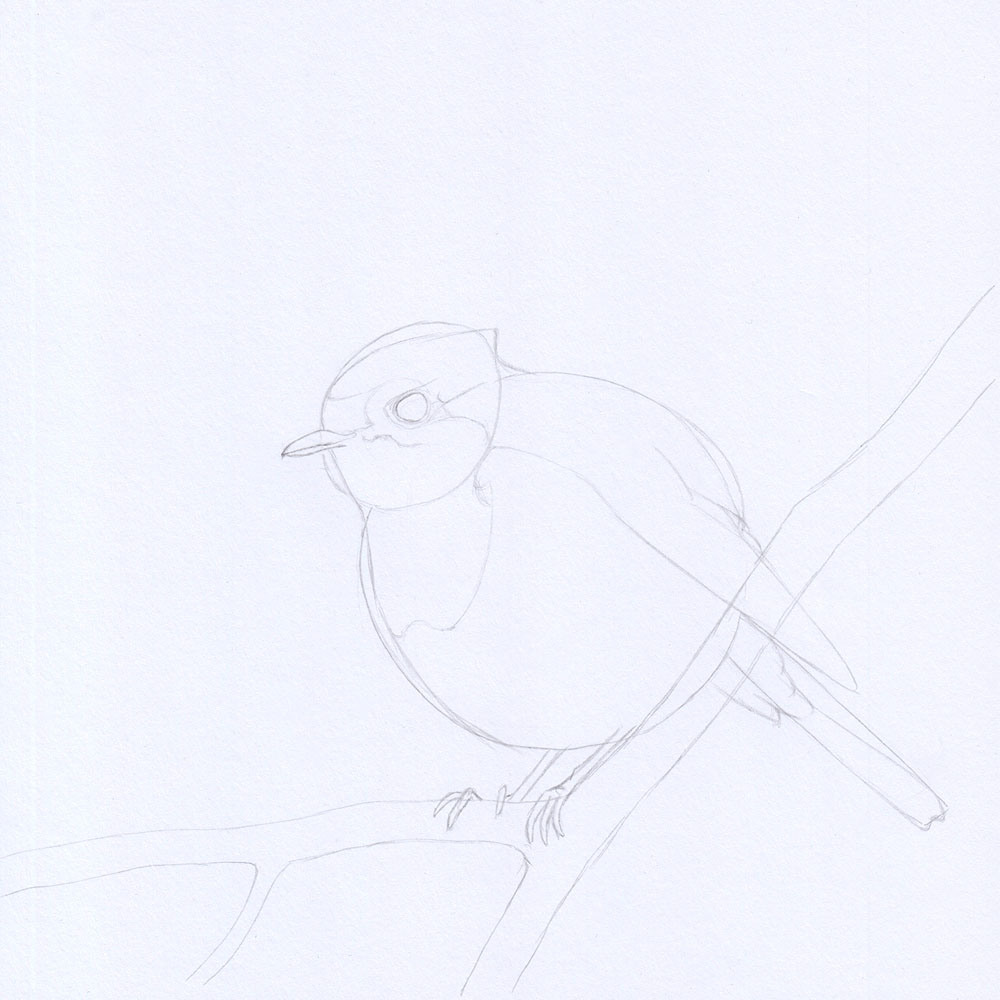 Sketchbook Ideas: Bird