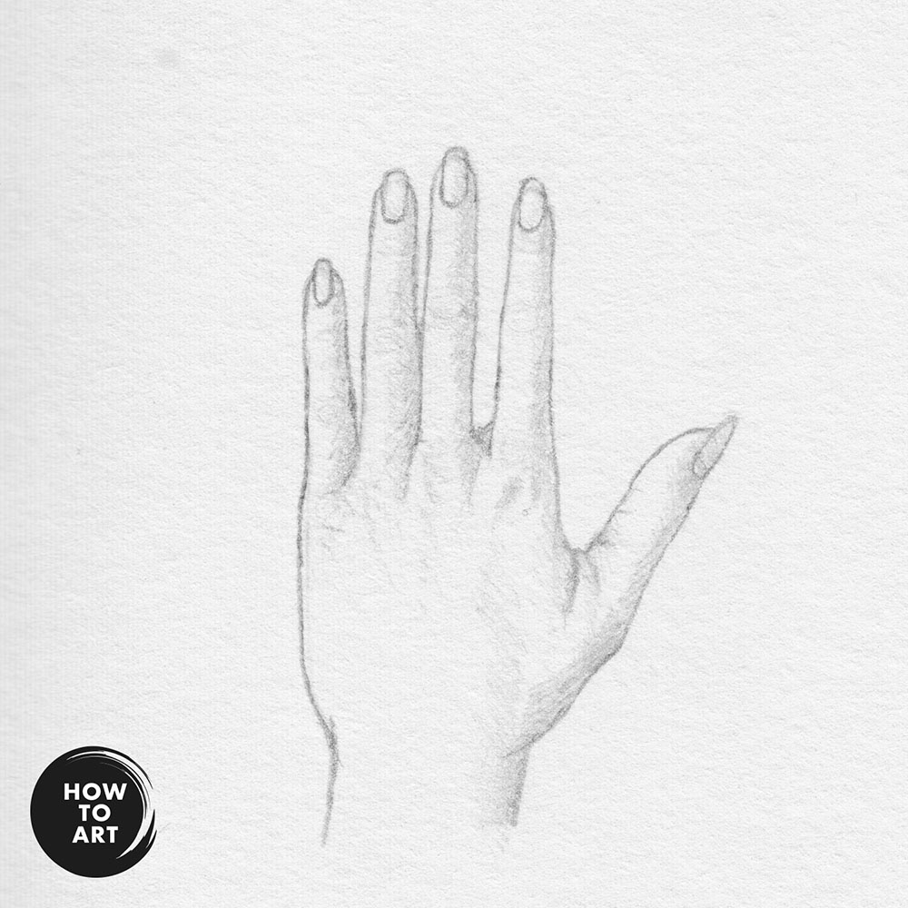 Hand Drawing: Back of the Hand