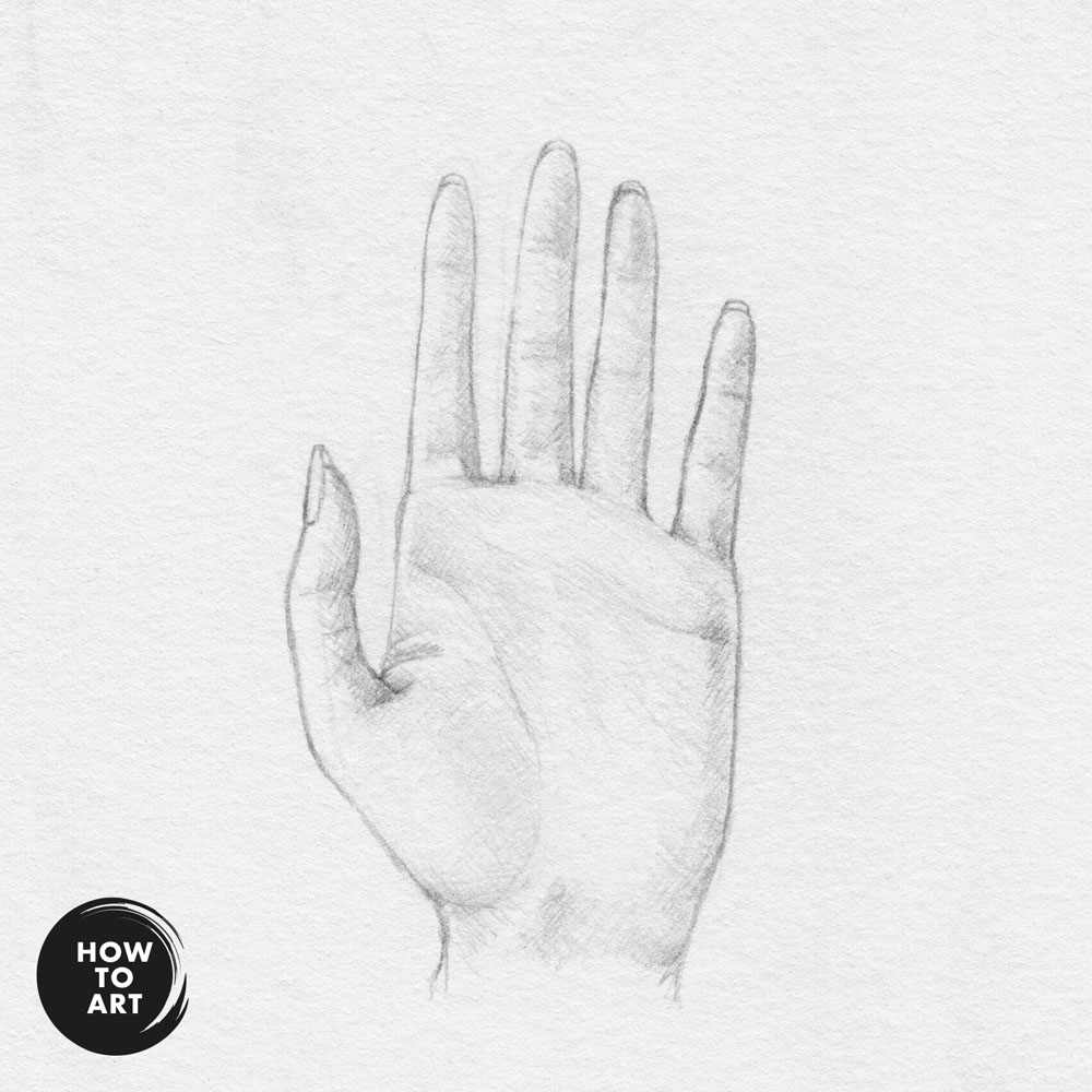 Hand Drawing: Hand from the front