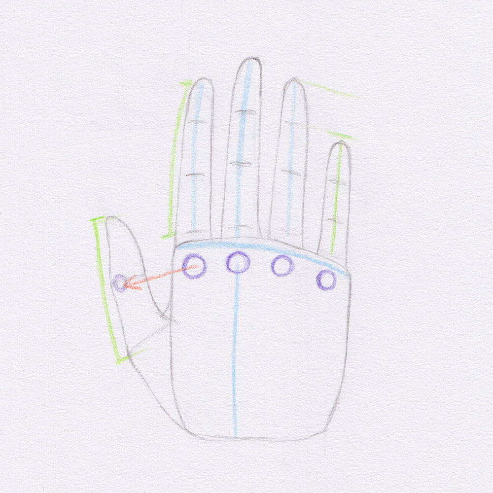 Hand Drawing: Thumb