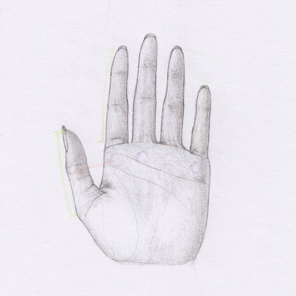 Hand Drawing: Detailed Sketch