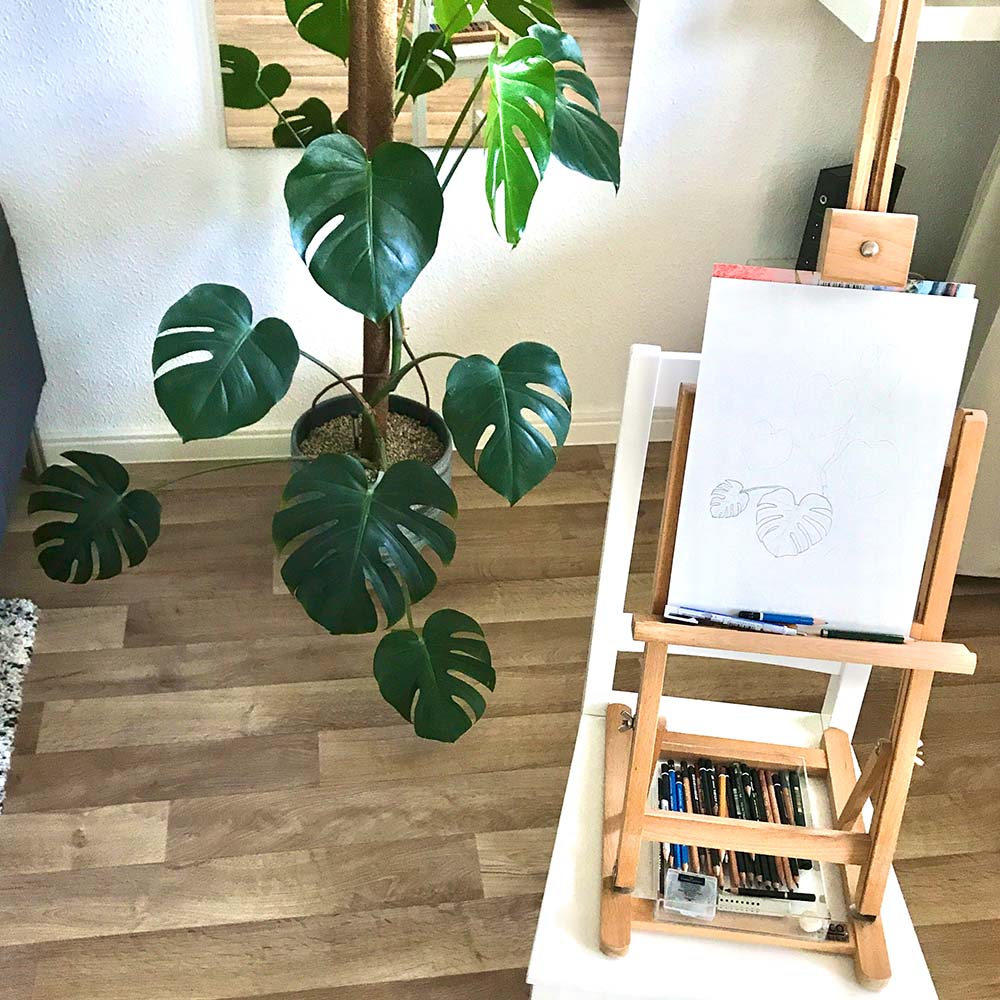 Painting and Drawing plants: Find a Reference