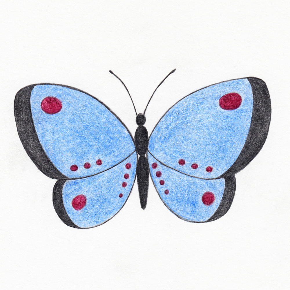 Schmetterling einfach zeichnen: Flügel Farbe