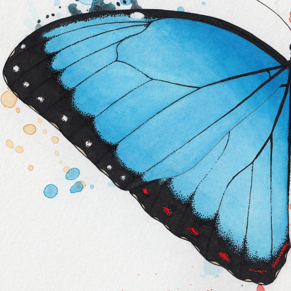 Flügel Schmetterling Tinte