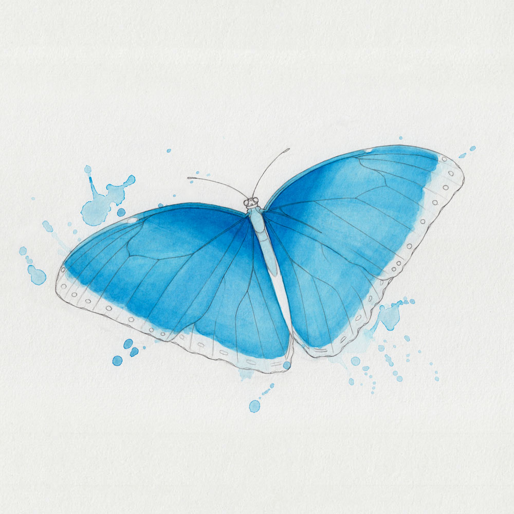 Blaue Flügel Schmetterling Aquarell