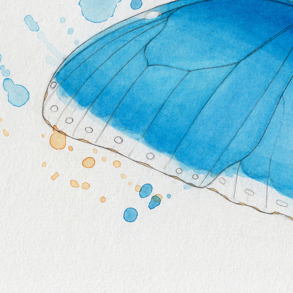 Wings Butterfly Watercolor Splotches