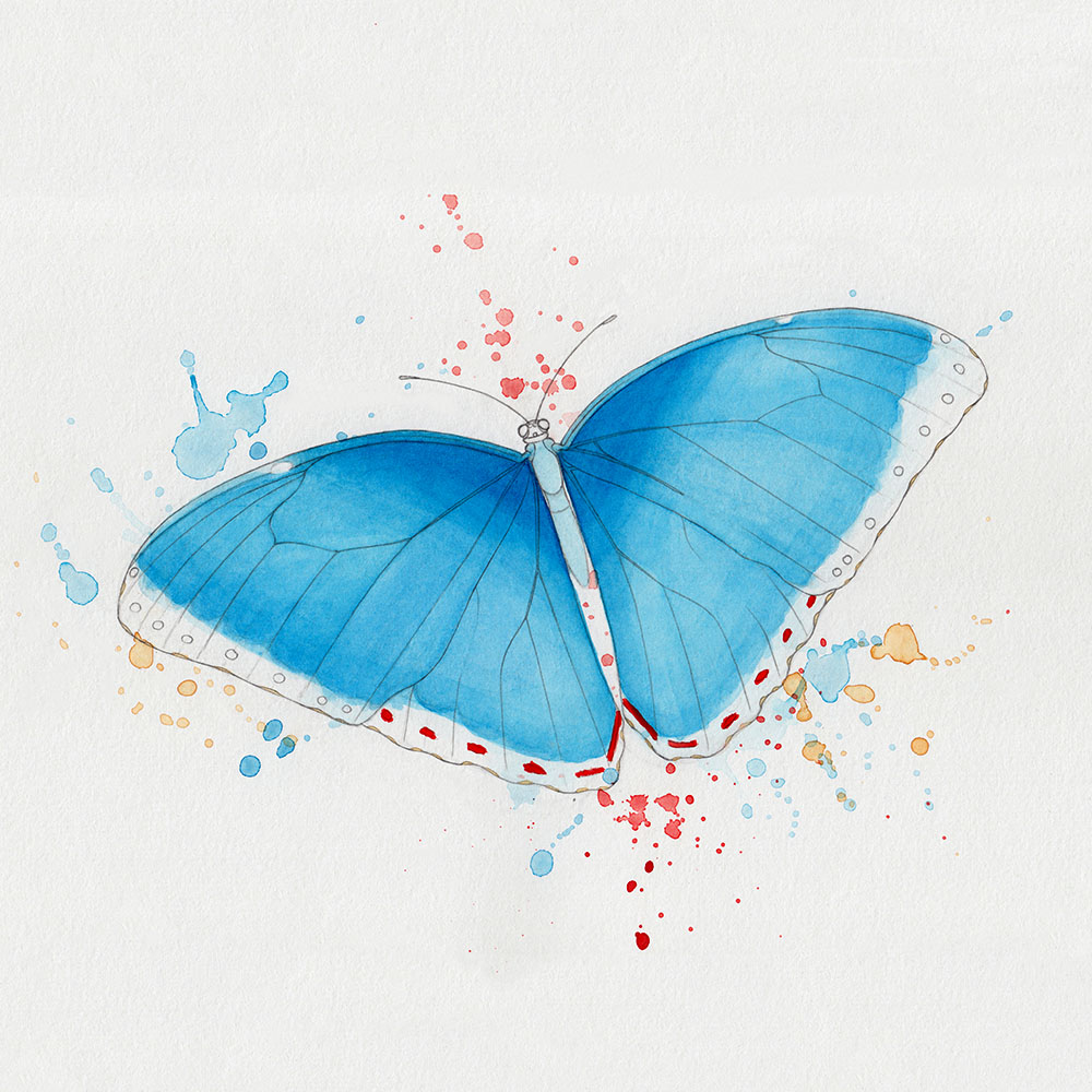 Wing Butterfly Watercolor Splotches