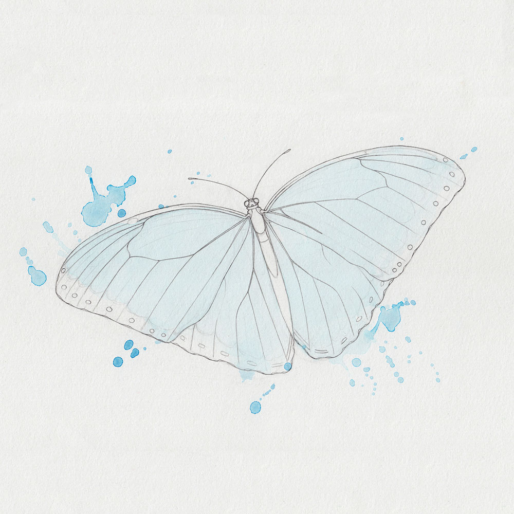 Aquarellkleckse auf Schmetterling-Zeichnung
