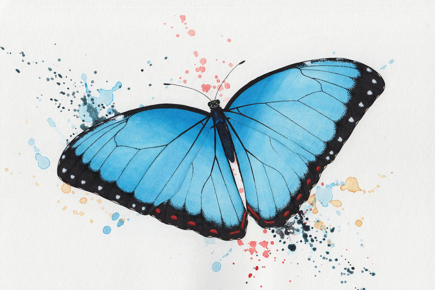 Frühlingsbild: Schmetterling malen