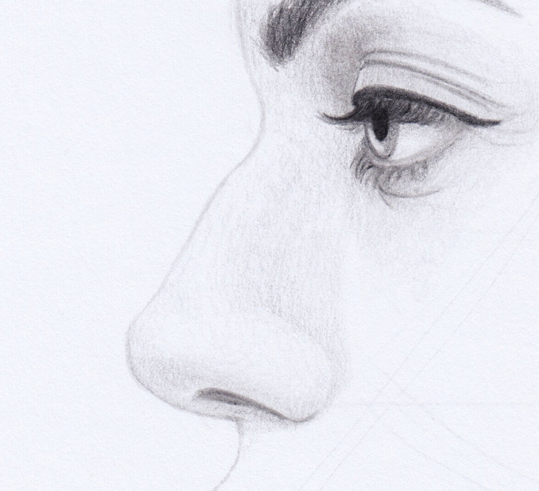Side Profile Drawing: Nose