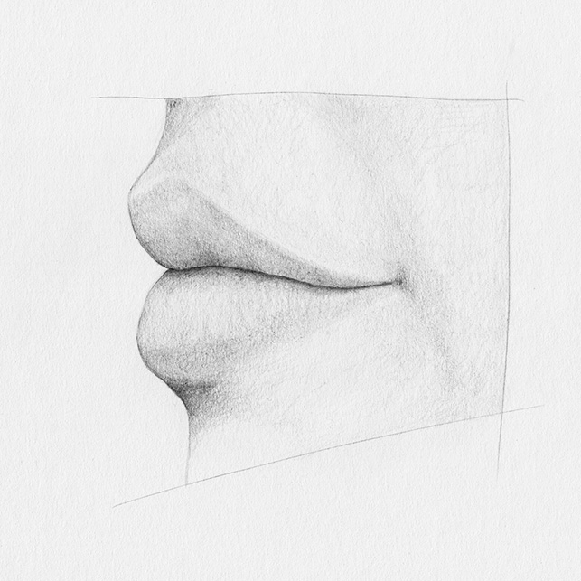 Lippen von der Seite zeichnen: Unterlippe
