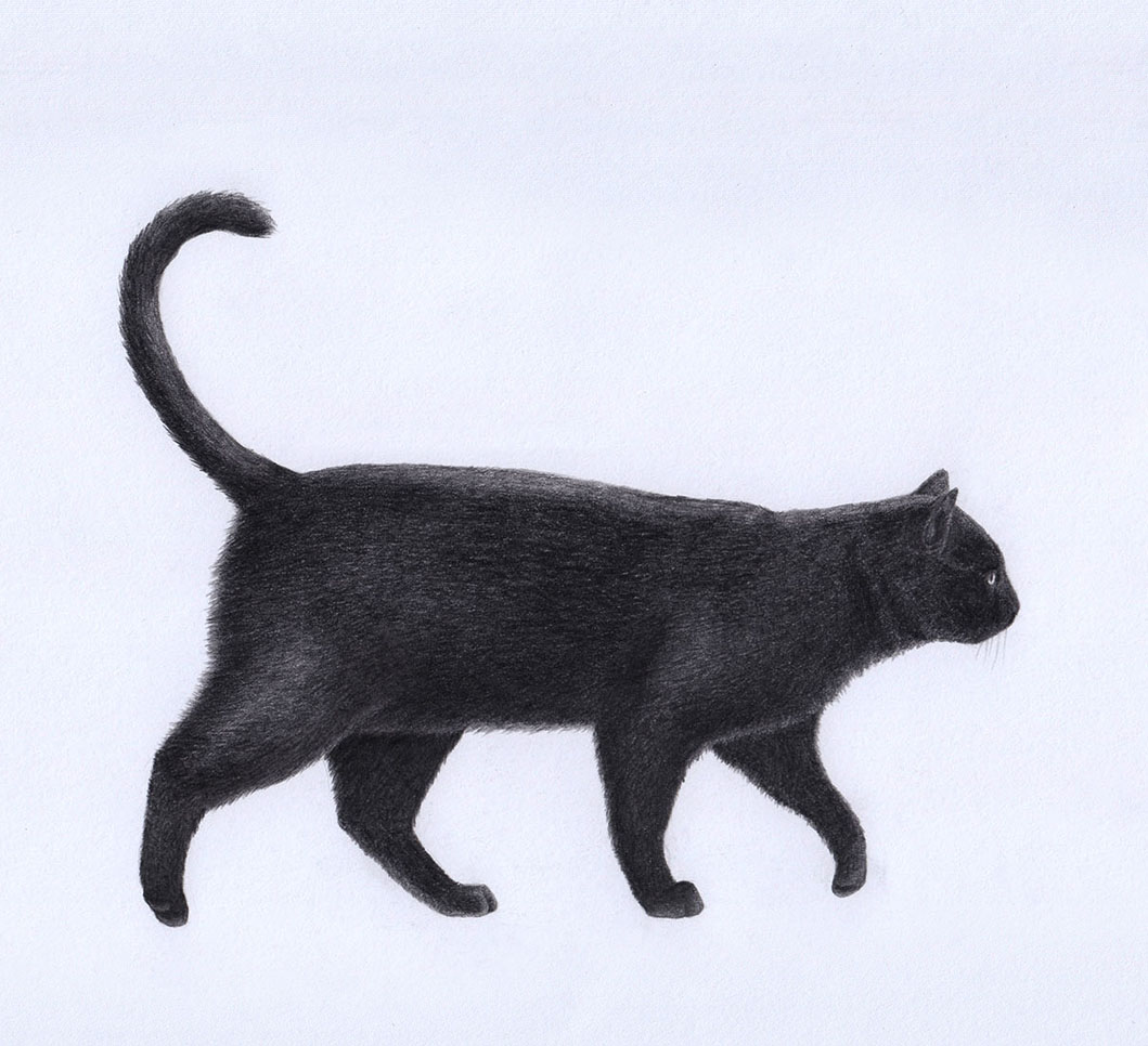 Рисунок на основе основных форм