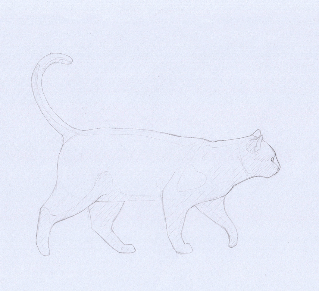 Drawing a Cat: Sketch of Fur