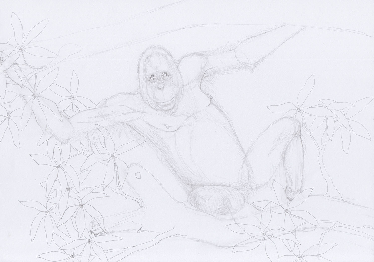 Рисование орангутанга: листья